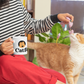 Catfé Classic Mug in White