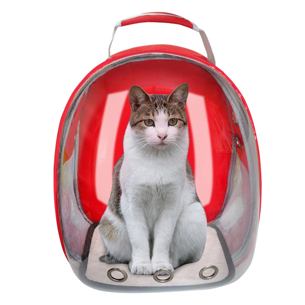 Clear Pet Backpack