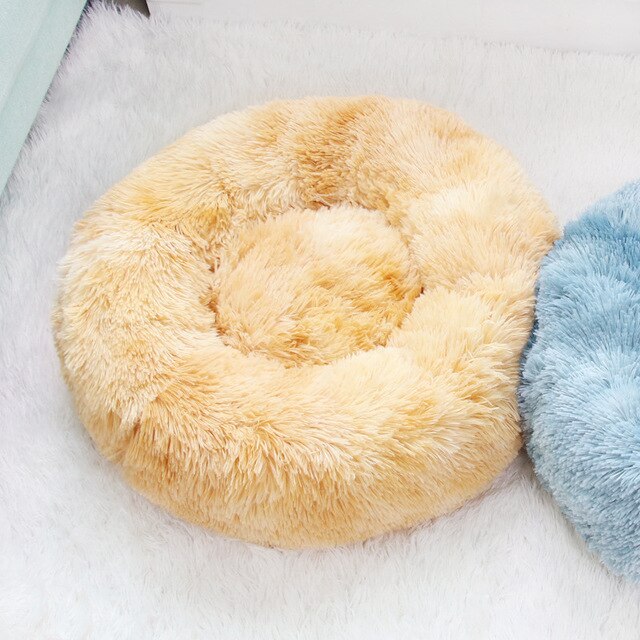 Rainbow Pet Bed
