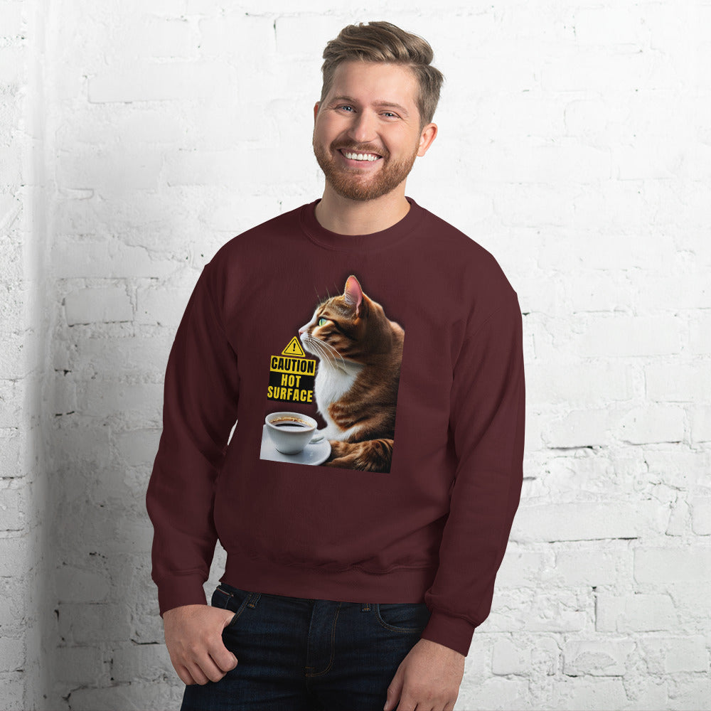 "Cautious Kitty" Sweatshirt