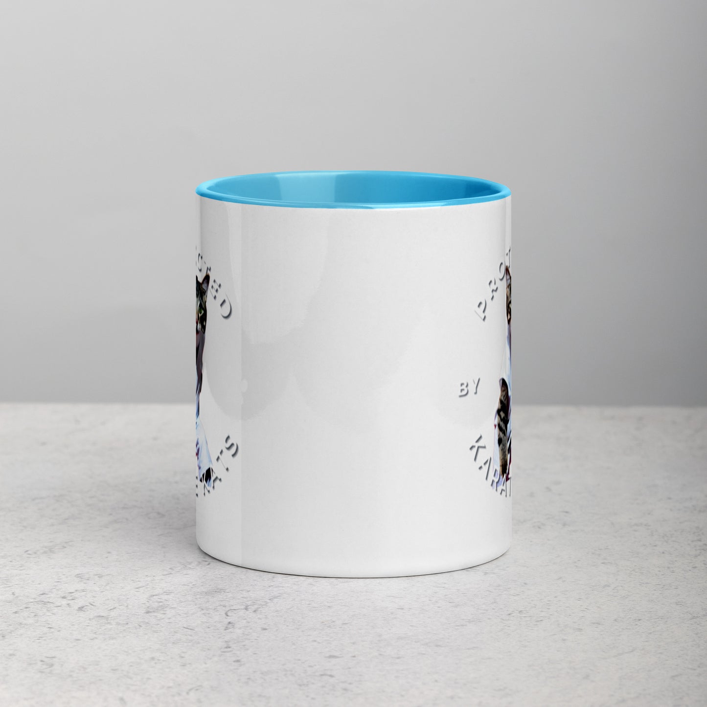 Colorful "Karate Kats" Mug