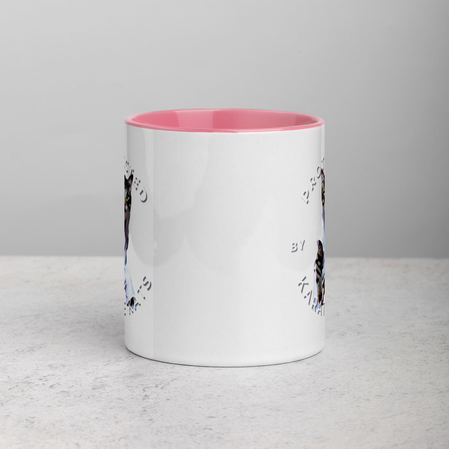 Colorful "Karate Kats" Mug